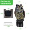 Solar Powered Owl Decoy with Flashing Eye Hoot Sound Infrared Sensor Scare Bird Squirrel Away Pest Repellent Bird Deterrent Outdoor Garden Yard Protec